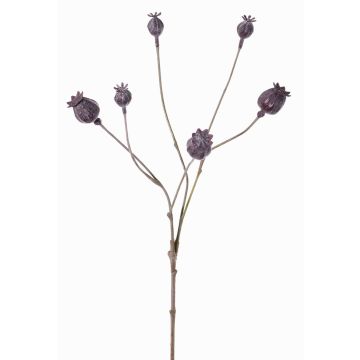 Branche de capsules de pavot artificielle ASUMAN, marron foncé, 70cm, Ø2-3cm Branche de capsules de pavot artificielle ASUMAN, marron foncé, 70cm, Ø2-3cm