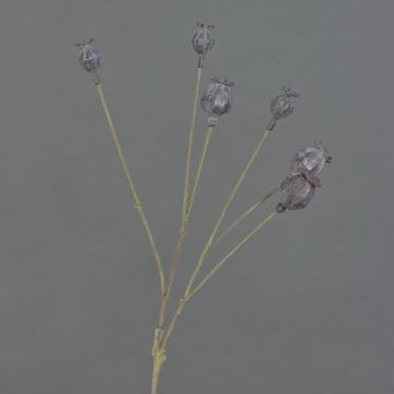 Branche de capsules de pavot artificielle ASUMAN, marron foncé, 70 cm, Ø 2-3 cm Branche de capsules de pavot artificielle ASUMAN, marron foncé, 70 cm, Ø 2-3 cm