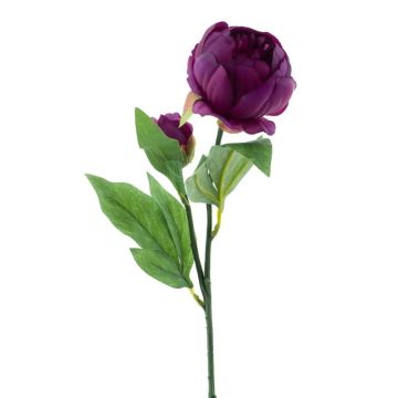 Fleur décorative Pivoine TESNI, violet foncé, 50cm