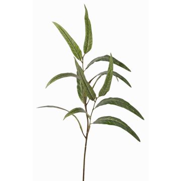 Branche d'eucalyptus artificielle SEMA, verte, 70cm Branche d'eucalyptus artificielle SEMA, verte, 70cm