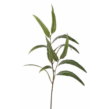 Branche d'eucalyptus artificielle SEMA, verte, 70 cm