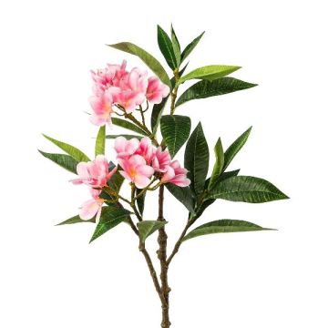 Branche artificielle Frangipanier DRIFEN, rose, 110cm Branche artificielle Frangipanier DRIFEN, rose, 110cm