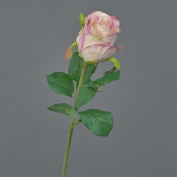 Fleur décorative Rose KLONI, rose, 50cm