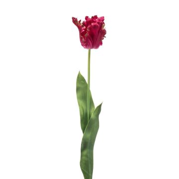 Deko Papageientulpe LUNIA, pink, 70cm