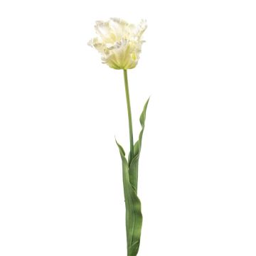 Tulipe décorative « perroquet » LUNIA, blanche et verte, 70 cm Tulipe décorative « perroquet » LUNIA, blanche et verte, 70 cm