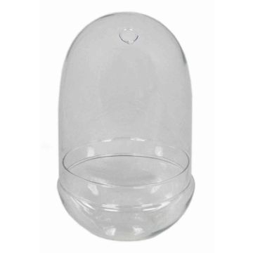 Cloche en verre JAMAE, transparent, 30cm, Ø17,5cm