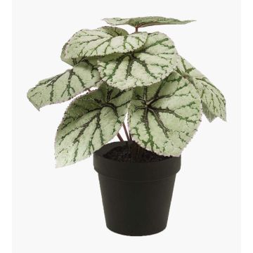 Plante artificielle, bégonia à feuilles MEIRA, vert-gris, 25cm Plante artificielle, bégonia à feuilles MEIRA, vert-gris, 25cm