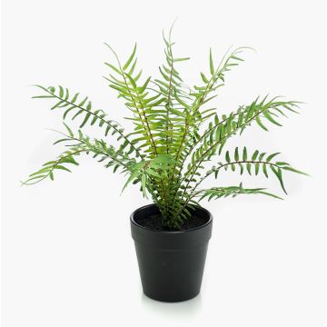 Fougère artificielle CASCOT, verte, 20 cm