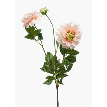 Fleur décorative: dahlia NAXOS avec fleurs, rose-vert, 70cm, Ø10-11cm Fleur décorative: dahlia NAXOS avec fleurs, rose-vert, 70cm, Ø10-11cm