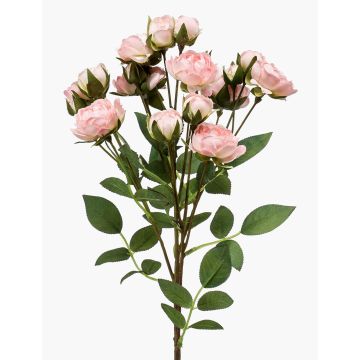 Branche de rose artificielle TOSSA, rose-crème, 60 cm, Ø 1-4 cm Branche de rose artificielle TOSSA, rose-crème, 60 cm, Ø 1-4 cm