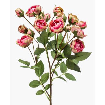Branche de rose artificielle TOSSA, rose-vert, 60 cm, Ø 1-4 cm Branche de rose artificielle TOSSA, rose-vert, 60 cm, Ø 1-4 cm