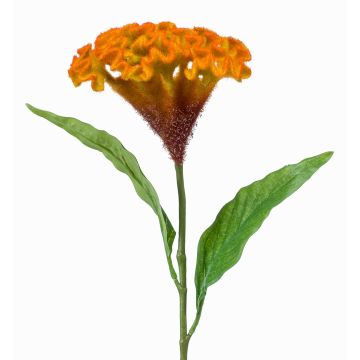 Fleur artificielle « crête de coq » ANUBIS, jaune-orange, 60 cm, Ø 14 cm Fleur artificielle « crête de coq » ANUBIS, jaune-orange, 60 cm, Ø 14 cm