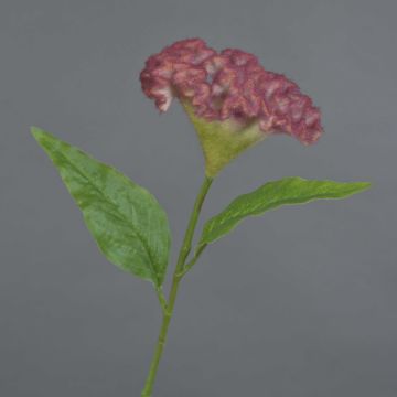 Fleur artificielle « crête de coq » ANUBIS, rose vif, 60 cm, Ø 14 cm Fleur artificielle « crête de coq » ANUBIS, rose vif, 60 cm, Ø 14 cm