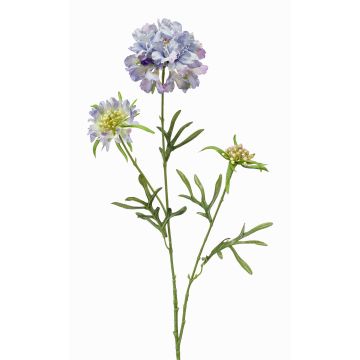 Fleur artificielle Scabiosa MONTIE, lilas-bleu, 75cm, Ø7-10cm Fleur artificielle Scabiosa MONTIE, lilas-bleu, 75cm, Ø7-10cm