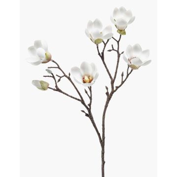 Fleur artificielle Magnolia ANEU, crème, 65 cm, Ø 7-8 cm Fleur artificielle Magnolia ANEU, crème, 65 cm, Ø 7-8 cm