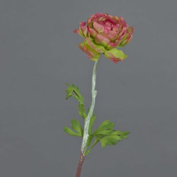 Renoncule artificielle ELORIO, fuchsia-vert, 50cm, Ø10cm
