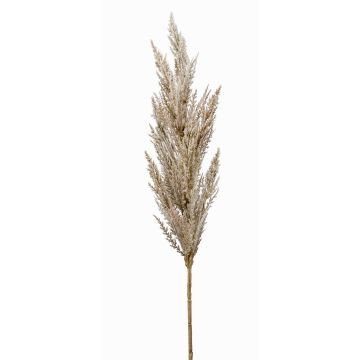 Branche artificielle d'herbe de la pampa en panicule BATERNO, crème, 90 cm Branche artificielle d'herbe de la pampa en panicule BATERNO, crème, 90 cm
