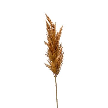Branche artificielle d'herbe de la pampa en panicule BATERNO, marron, 90 cm Branche artificielle d'herbe de la pampa en panicule BATERNO, marron, 90 cm