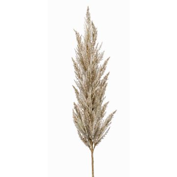 Branche artificielle d'herbe de la pampa en panicule BATERNO, crème, 115 cm Branche artificielle d'herbe de la pampa en panicule BATERNO, crème, 115 cm