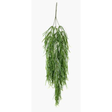Plante succulente artificielle Rhipsalis suspendue TALIGA sur tige, verte, 80cm Plante succulente artificielle Rhipsalis suspendue TALIGA sur tige, verte, 80cm