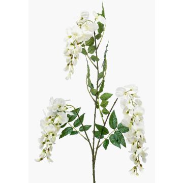 Branche de glycine artificielle ONORATO avec fleurs, crème, 70 cm Branche de glycine artificielle ONORATO avec fleurs, crème, 70 cm