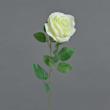 Fleur artificielle rose PEZOS, crème, 60 cm, Ø 10 cm Fleur artificielle rose PEZOS, crème, 60 cm, Ø 10 cm