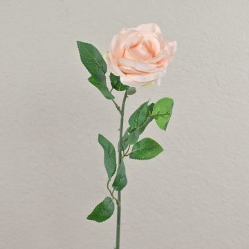 Fleur artificielle rose PEZOS, rose pâle, 60 cm, Ø 10 cm Fleur artificielle rose PEZOS, rose pâle, 60 cm, Ø 10 cm