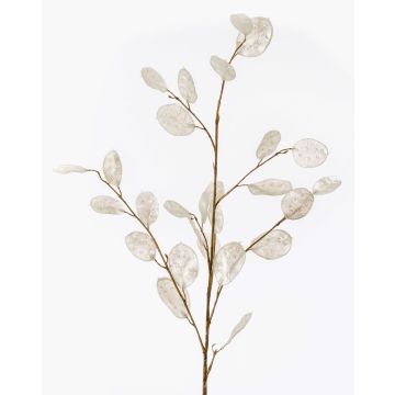 Branche artificielle Lunaria BUELNA, crème, 105cm
