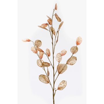 Branche artificielle Lunaria BUELNA, marron clair, 105cm Branche artificielle Lunaria BUELNA, marron clair, 105cm