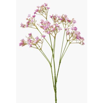 Gypsophile artificiel LITAGO, violet, 70 cm, Ø 1,5 cm Gypsophile artificiel LITAGO, violet, 70 cm, Ø 1,5 cm
