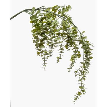 Branche d'eucalyptus artificielle PINORO, verte, 120 cm Branche d'eucalyptus artificielle PINORO, verte, 120 cm