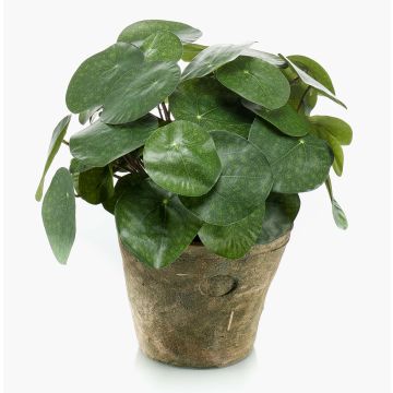 Plante succulente artificielle pilea SYBIL dans un pot en terre cuite, verte, 22cm Plante succulente artificielle pilea SYBIL dans un pot en terre cuite, verte, 22cm