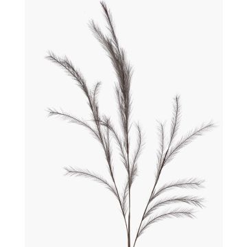 Kunstzweig Federgras Rispen YECORA, grau, 130cm Kunstzweig Federgras Rispen YECORA, grau, 130cm