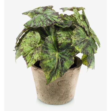 Plante artificielle: bégonia à feuilles MEIRA dans un pot en terre cuite, touffue, vert-noir, 25cm