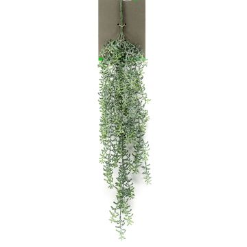 Plante artificielle succulente Rhipsalis suspendue TUREIS, tige, vert-gris, 70cm Plante artificielle succulente Rhipsalis suspendue TUREIS, tige, vert-gris, 70cm