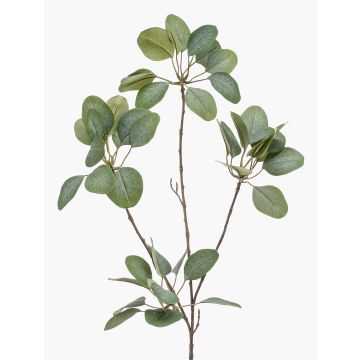 Branche d'eucalyptus artificielle KRISZTOFER, verte, 90 cm Branche d'eucalyptus artificielle KRISZTOFER, verte, 90 cm