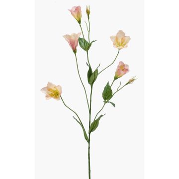 Unechte Blume Lisianthus PAZAN, rosa-creme, 70cm, Ø3-5cm Unechte Blume Lisianthus PAZAN, rosa-creme, 70cm, Ø3-5cm