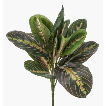 Plante artificielle arrowroot SITULA sur tige, vert-rouge, 30cm