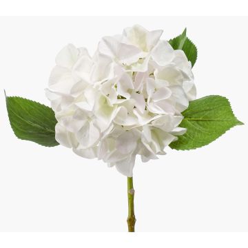 Fleur artificielle d'hortensia AMARILDO, blanc-vert, 50cm, Ø16cm Fleur artificielle d'hortensia AMARILDO, blanc-vert, 50cm, Ø16cm