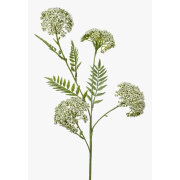 Branche artificielle d'achillée millefeuille THUBAN, crème, 60cm, Ø6-7cm