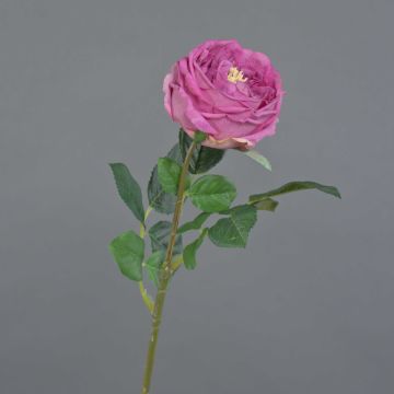 Rose artificielle « Kohl-Rose » CATINCA, rose, 60 cm, Ø 9 cm Rose artificielle « Kohl-Rose » CATINCA, rose, 60 cm, Ø 9 cm