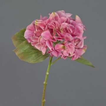 Fleur artificielle Hortensia AMARILDO, fuchsia-vert, 45cm, Ø16cm Fleur artificielle Hortensia AMARILDO, fuchsia-vert, 45cm, Ø16cm