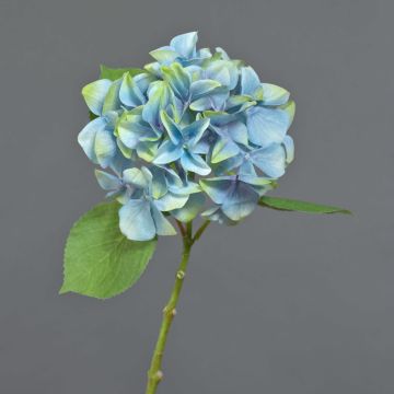 Fleur artificielle hortensia AMARILDO, bleu-vert, 45cm, Ø16cm Fleur artificielle hortensia AMARILDO, bleu-vert, 45cm, Ø16cm