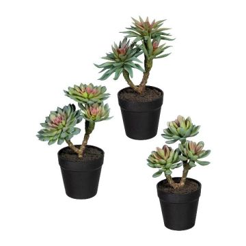 Arrangement artificiel de plantes succulentes DRULKE en pot décoratif, 3 pièces, vert-rose, 21-23cm