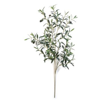 Branche d'olivier synthétique LORRIS, avec fruits, difficilement inflammable, verte, 110cm Branche d'olivier synthétique LORRIS, avec fruits, difficilement inflammable, verte, 110cm