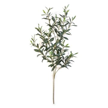 Branche d'olivier synthétique LORRIS, difficilement inflammable, verte, 110cm Branche d'olivier synthétique LORRIS, difficilement inflammable, verte, 110cm