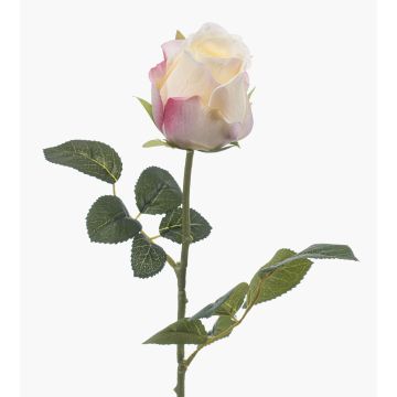 Rose artificielle DIXLEN, blanc-rose, 70 cm, Ø 7 cm Rose artificielle DIXLEN, blanc-rose, 70 cm, Ø 7 cm