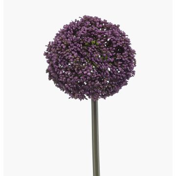 Allium artificiel TUXLON, violet foncé, 75 cm Allium artificiel TUXLON, violet foncé, 75 cm