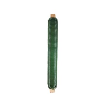 Fil de ligature vert ZELISA, 100g, 33m, Ø0,65mm Fil de ligature vert ZELISA, 100g, 33m, Ø0,65mm