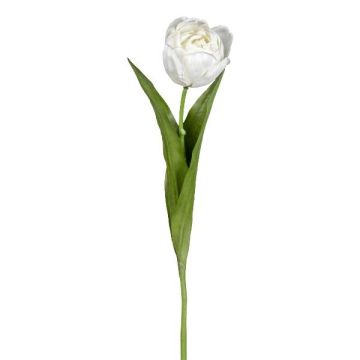 Fleur décorative Tulipe TRIFT, blanc-vert, 50cm, Ø4,5cm Fleur décorative Tulipe TRIFT, blanc-vert, 50cm, Ø4,5cm